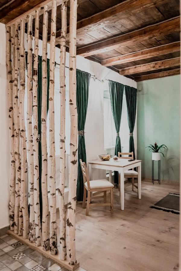 Central Garden Apartments Brasov Exterior photo