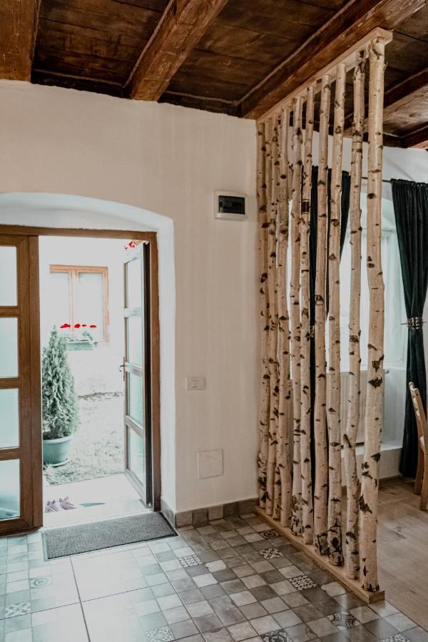 Central Garden Apartments Brasov Exterior photo